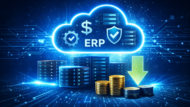 Why Cloud ERP Reduces IT Costs and Infrastructure Risk